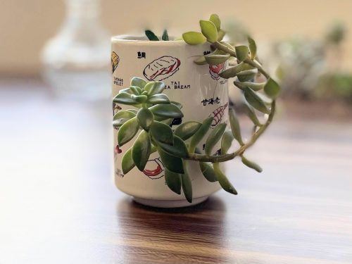 They Are Ripe for Harvest